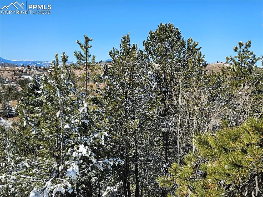 829 Princess Road Cripple Creek, CO 80813