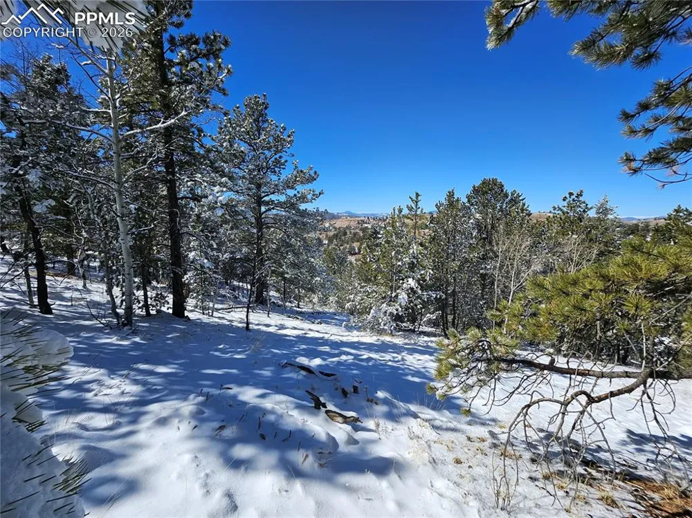 829 Princess Road Cripple Creek, CO 80813