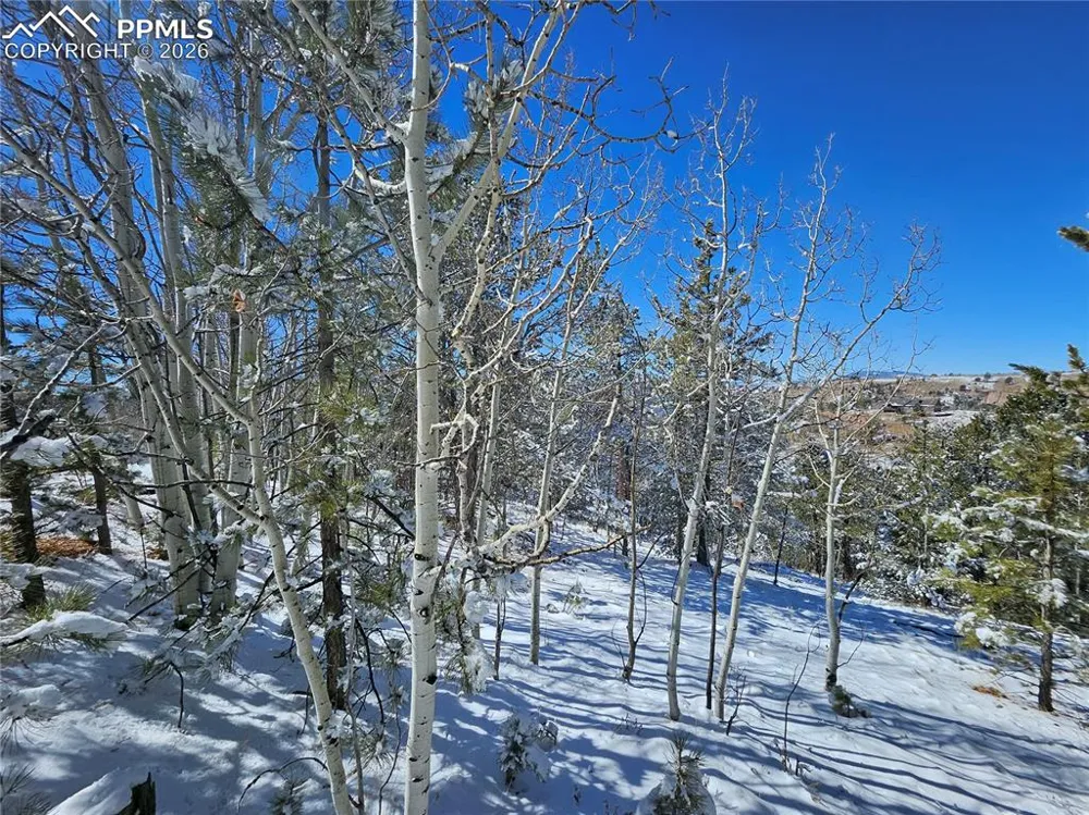 829 Princess Road Cripple Creek, CO 80813