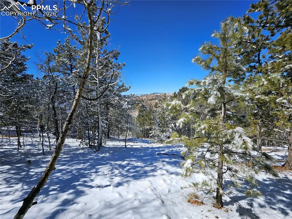 829 Princess Road Cripple Creek, CO 80813