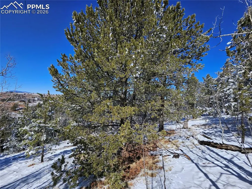 829 Princess Road Cripple Creek, CO 80813