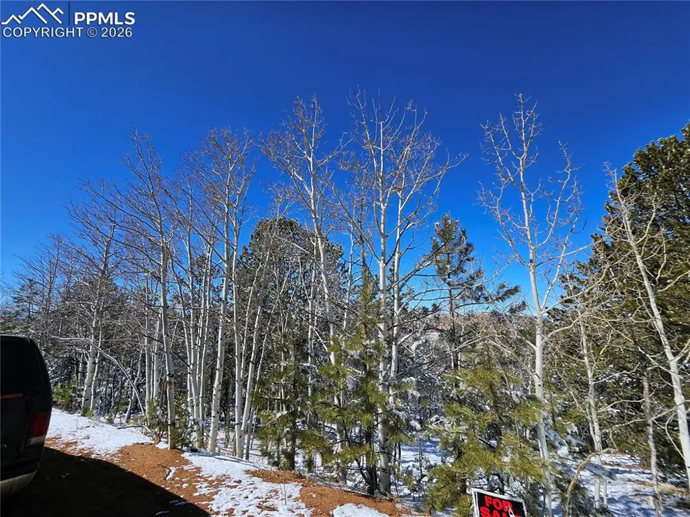 829 Princess Road Cripple Creek, CO 80813