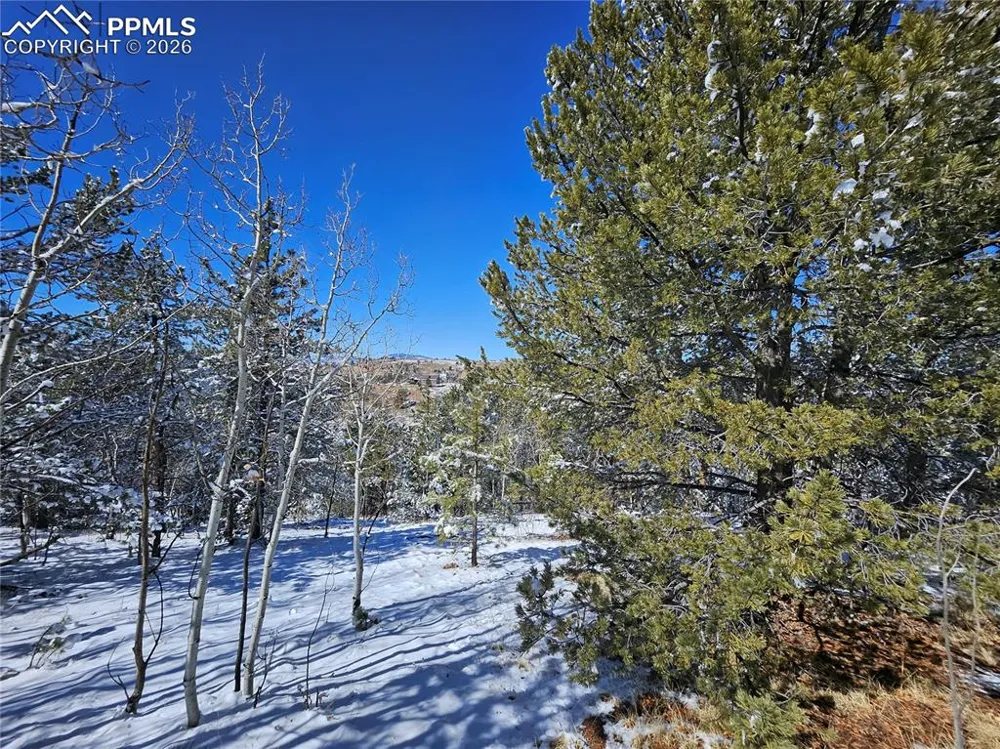 829 Princess Road Cripple Creek, CO 80813