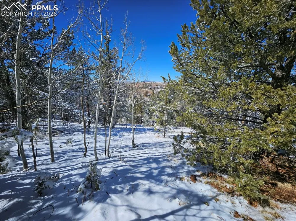 829 Princess Road Cripple Creek, CO 80813