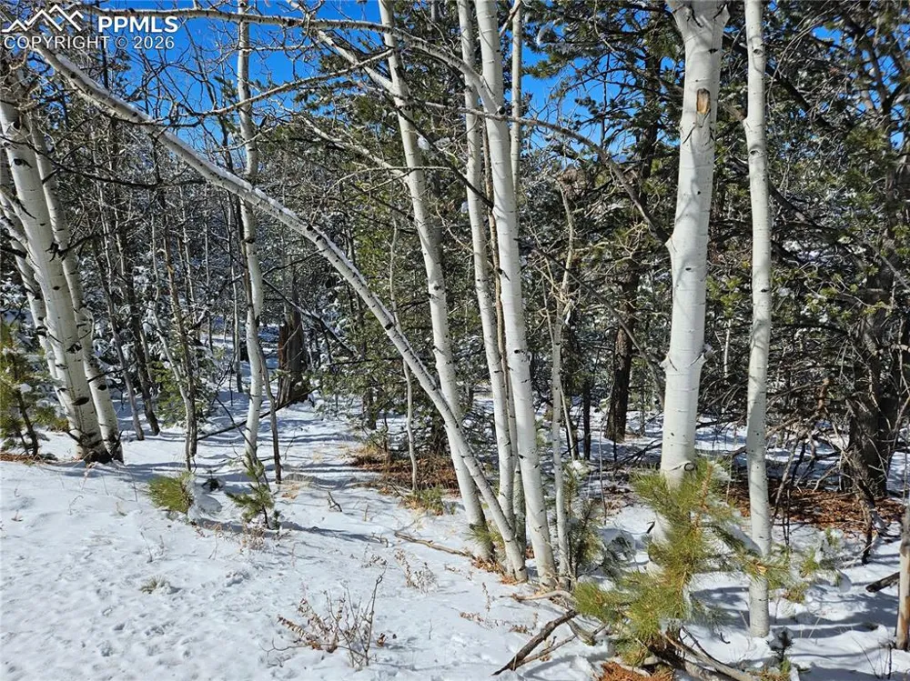 829 Princess Road Cripple Creek, CO 80813