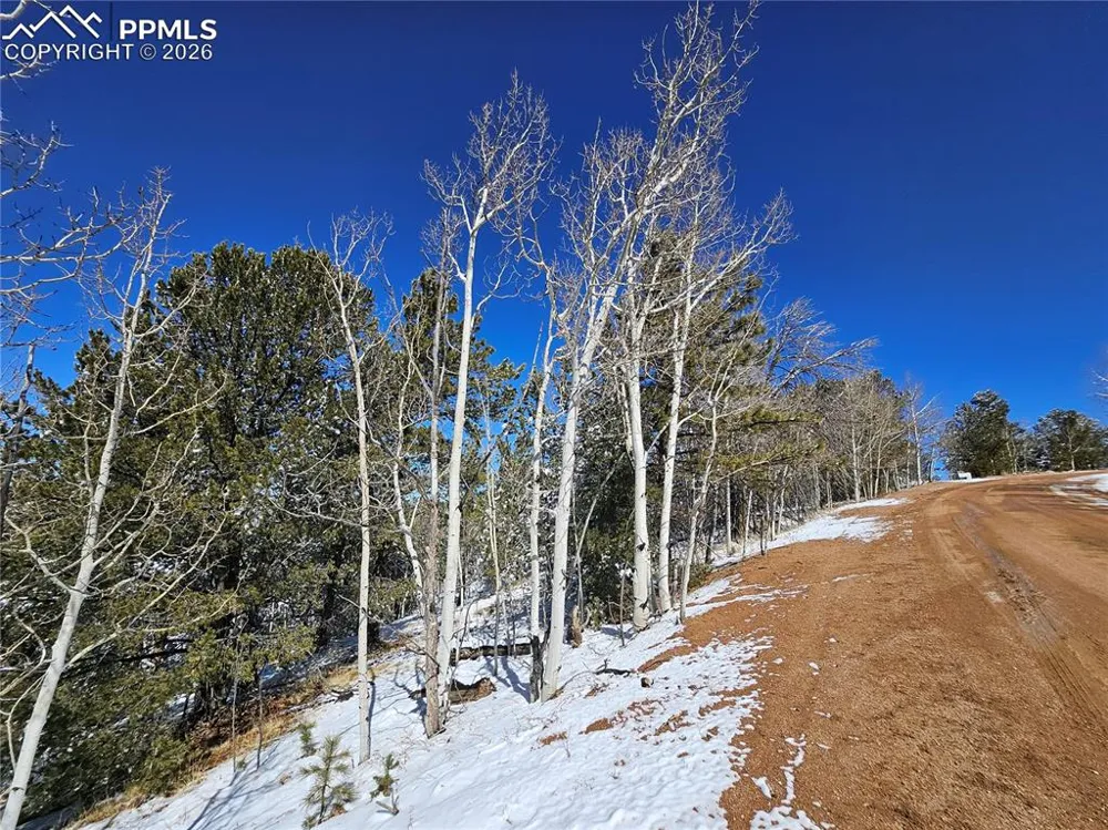 829 Princess Road Cripple Creek, CO 80813