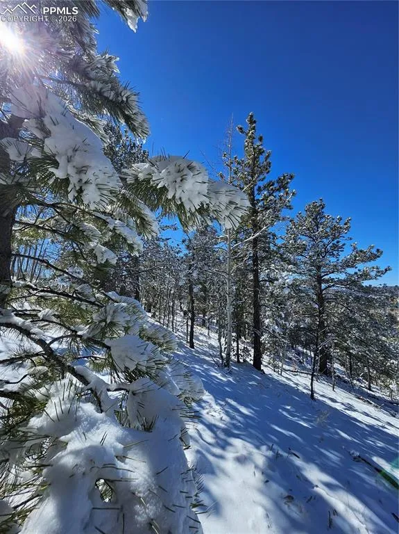 829 Princess Road Cripple Creek, CO 80813