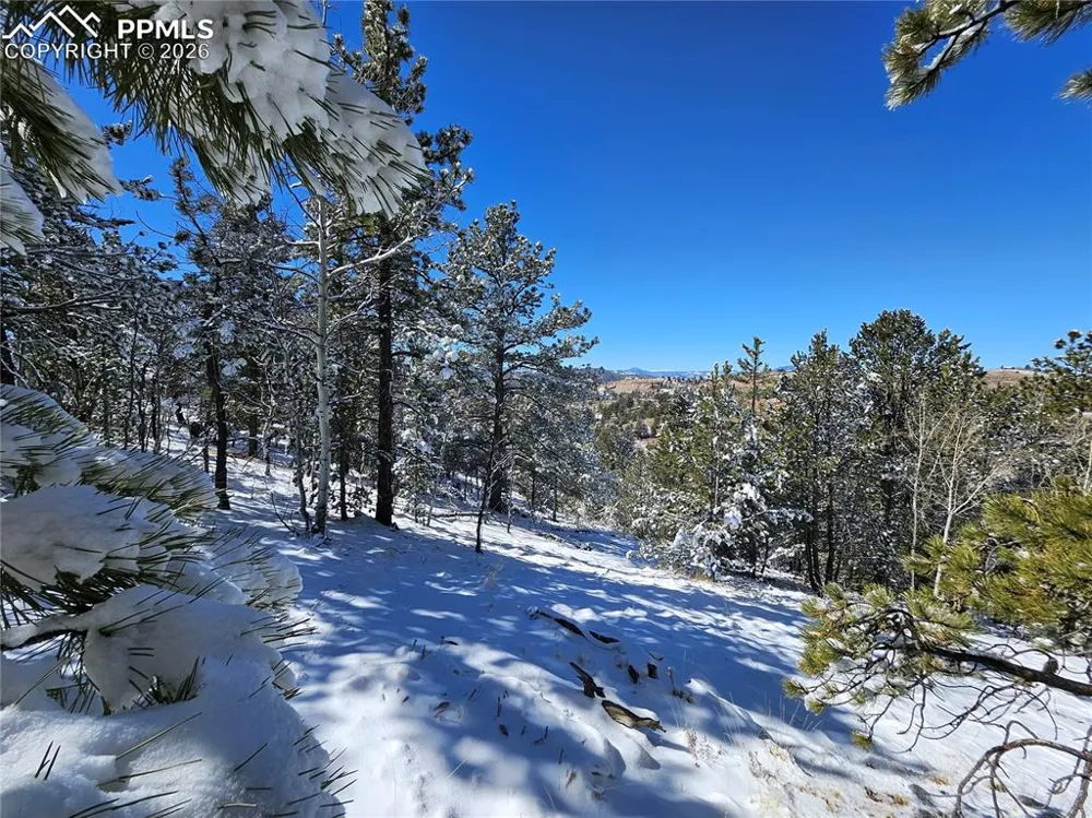 829 Princess Road Cripple Creek, CO 80813