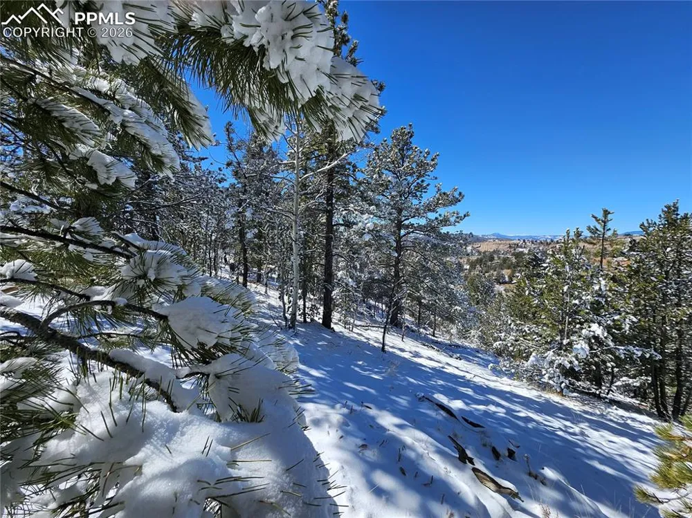 829 Princess Road Cripple Creek, CO 80813