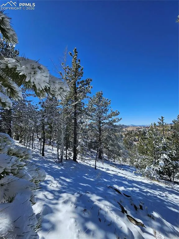 829 Princess Road Cripple Creek, CO 80813