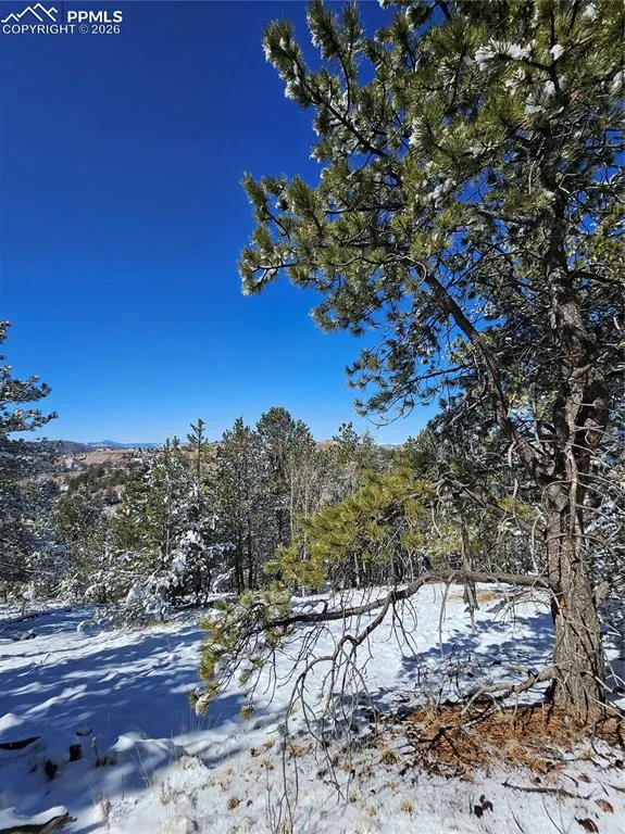 829 Princess Road Cripple Creek, CO 80813