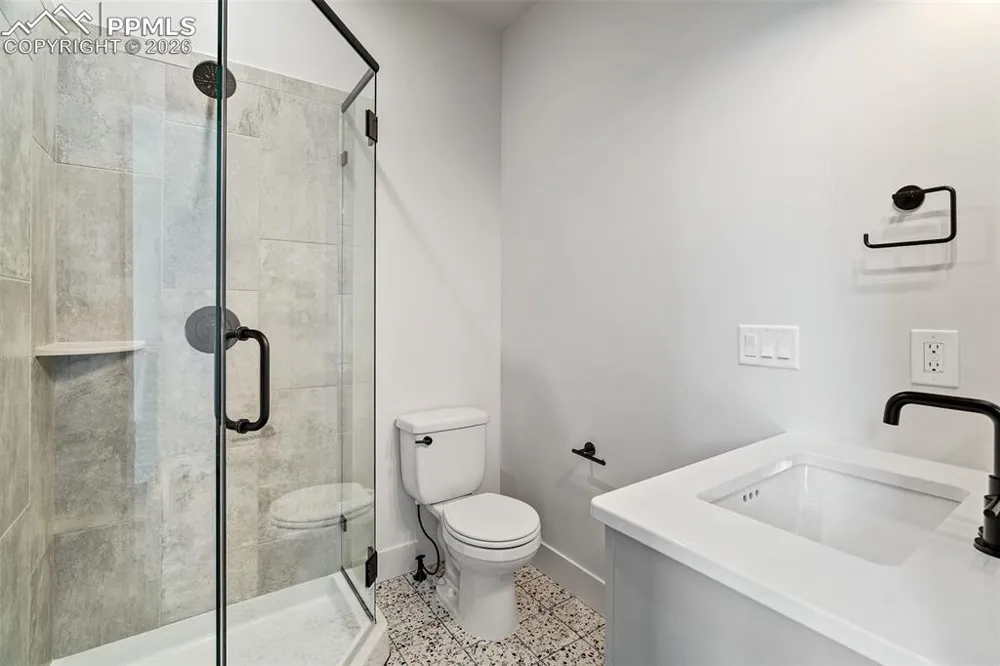 421 Chestnut Street #A,B,C Buena Vista, CO 81211