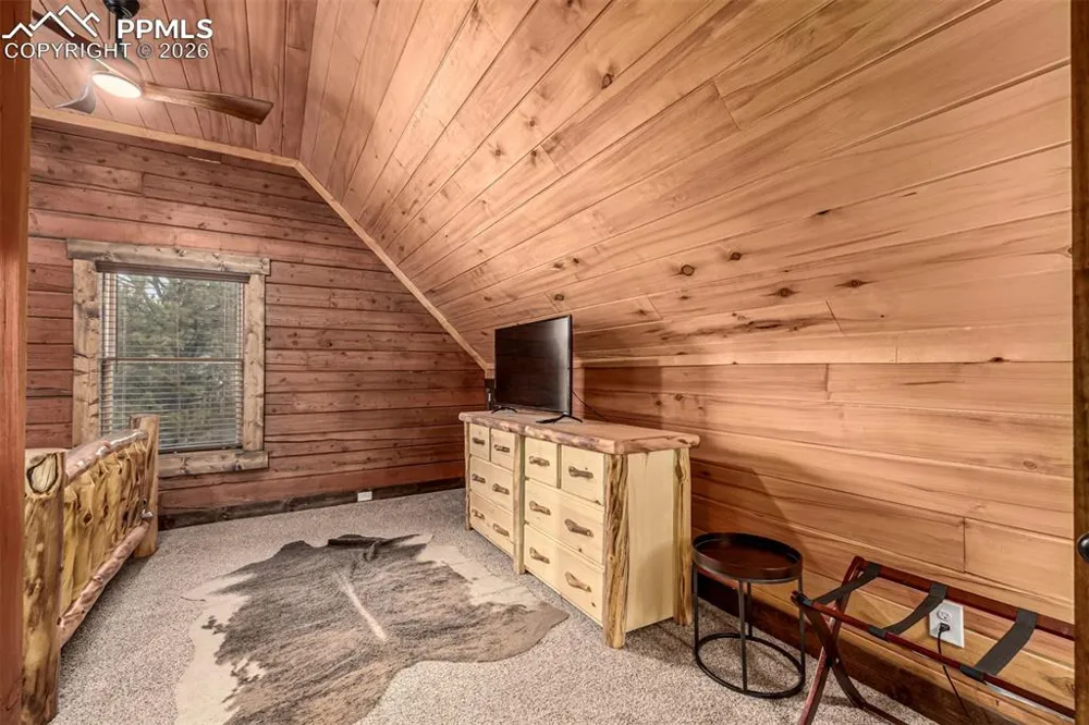 116 Dakota Path Lake George, CO 80827