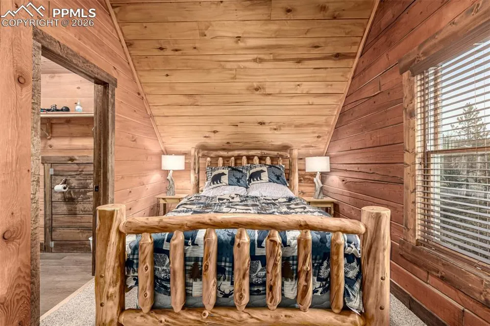 116 Dakota Path Lake George, CO 80827