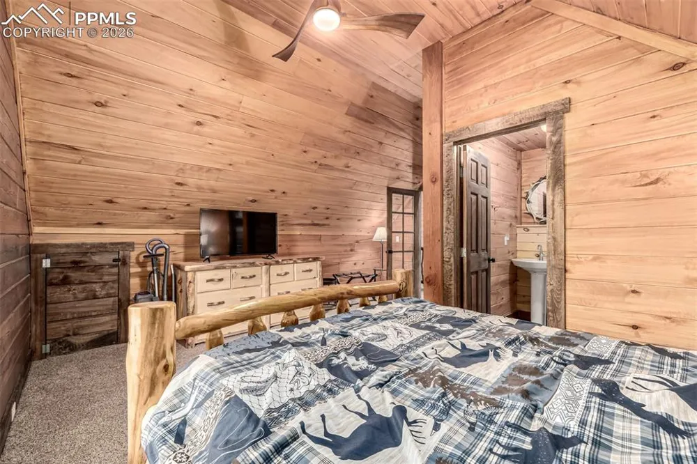 116 Dakota Path Lake George, CO 80827