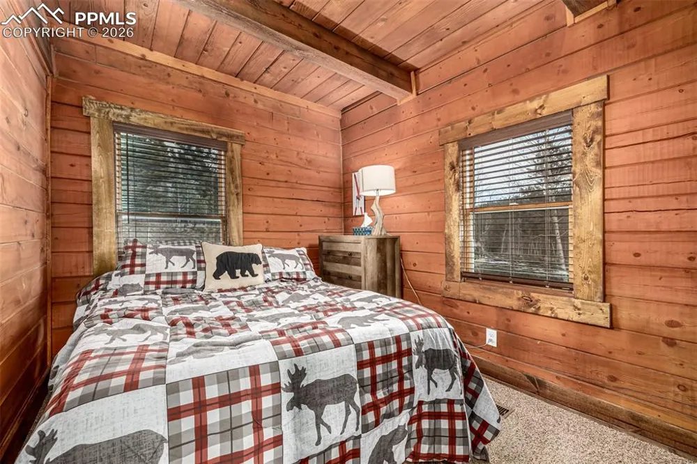 116 Dakota Path Lake George, CO 80827