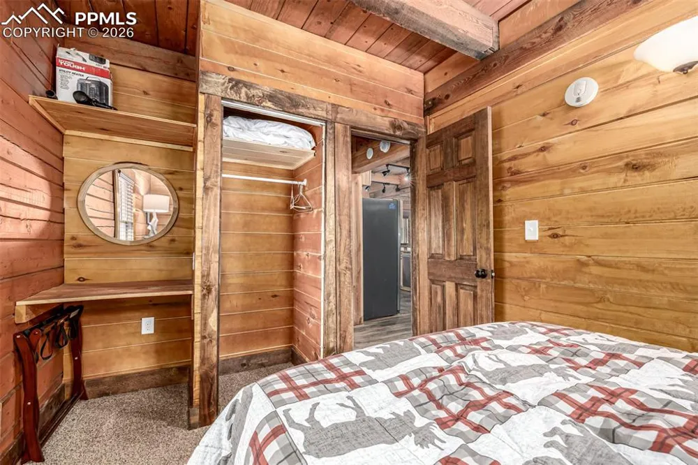 116 Dakota Path Lake George, CO 80827