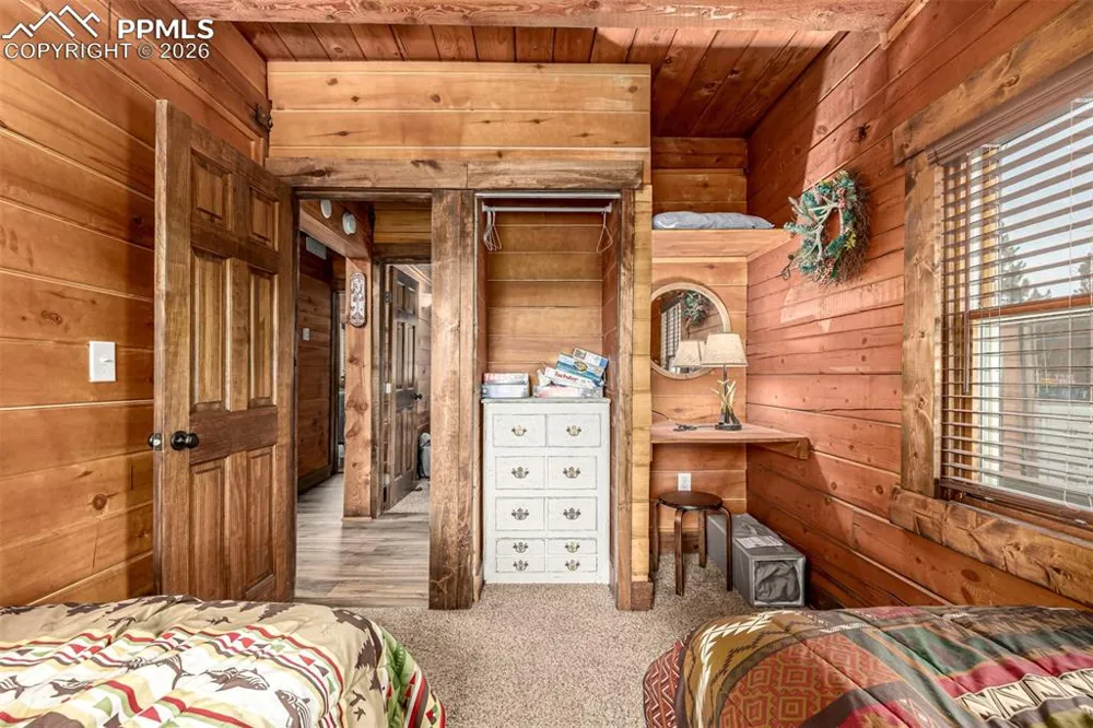 116 Dakota Path Lake George, CO 80827