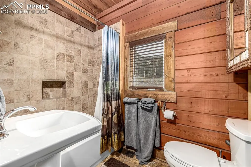 116 Dakota Path Lake George, CO 80827
