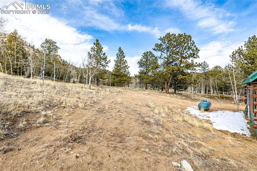 116 Dakota Path Lake George, CO 80827