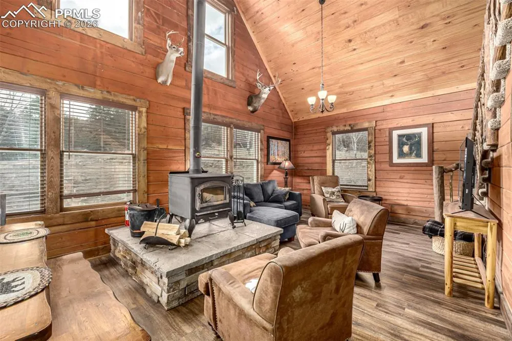 116 Dakota Path Lake George, CO 80827