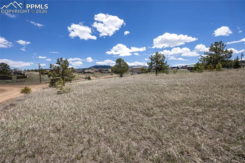 333 Golden Grain Lane Divide, CO 80814