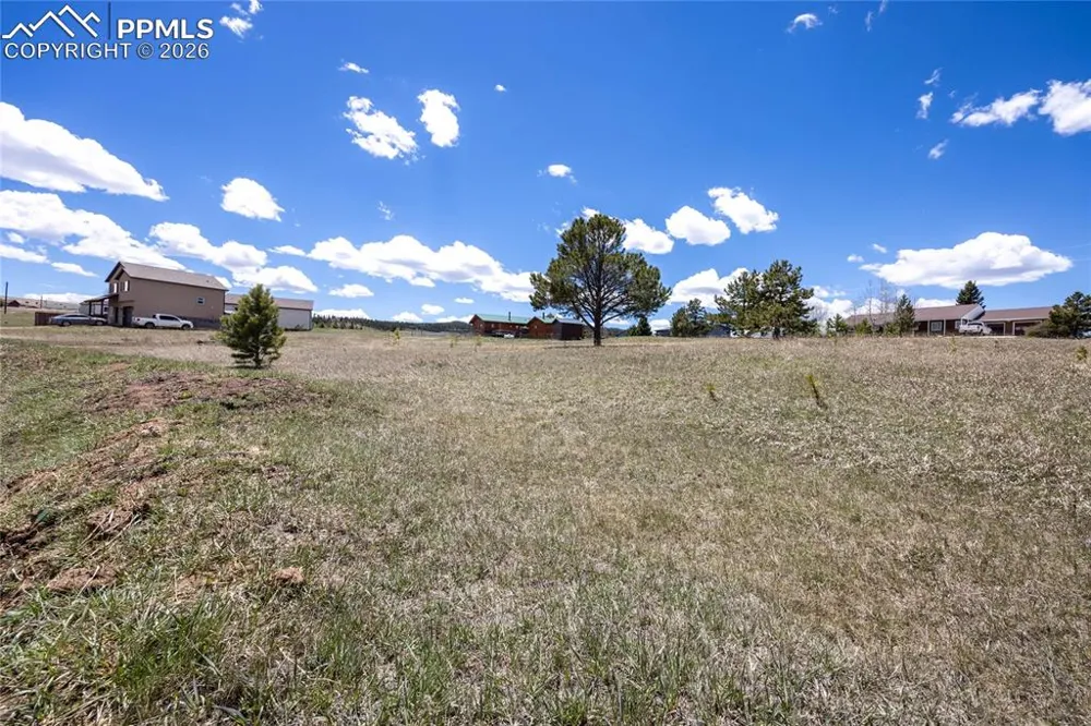 333 Golden Grain Lane Divide, CO 80814