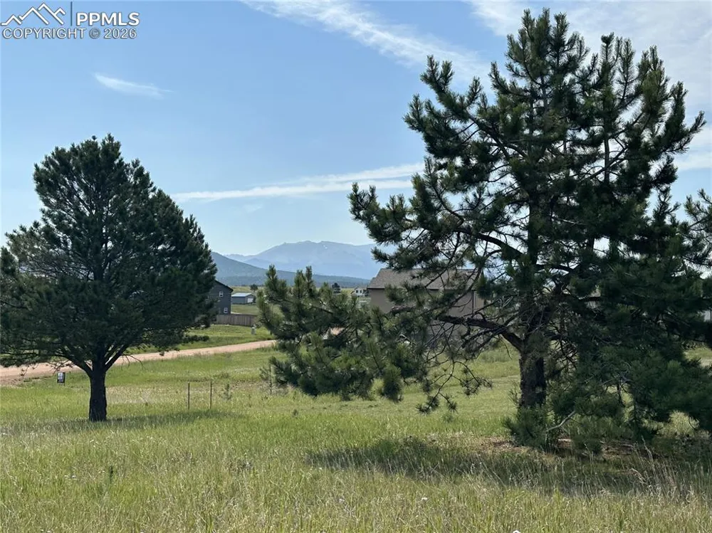 333 Golden Grain Lane Divide, CO 80814