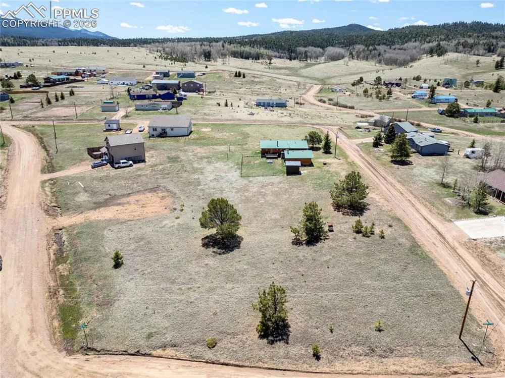 333 Golden Grain Lane Divide, CO 80814