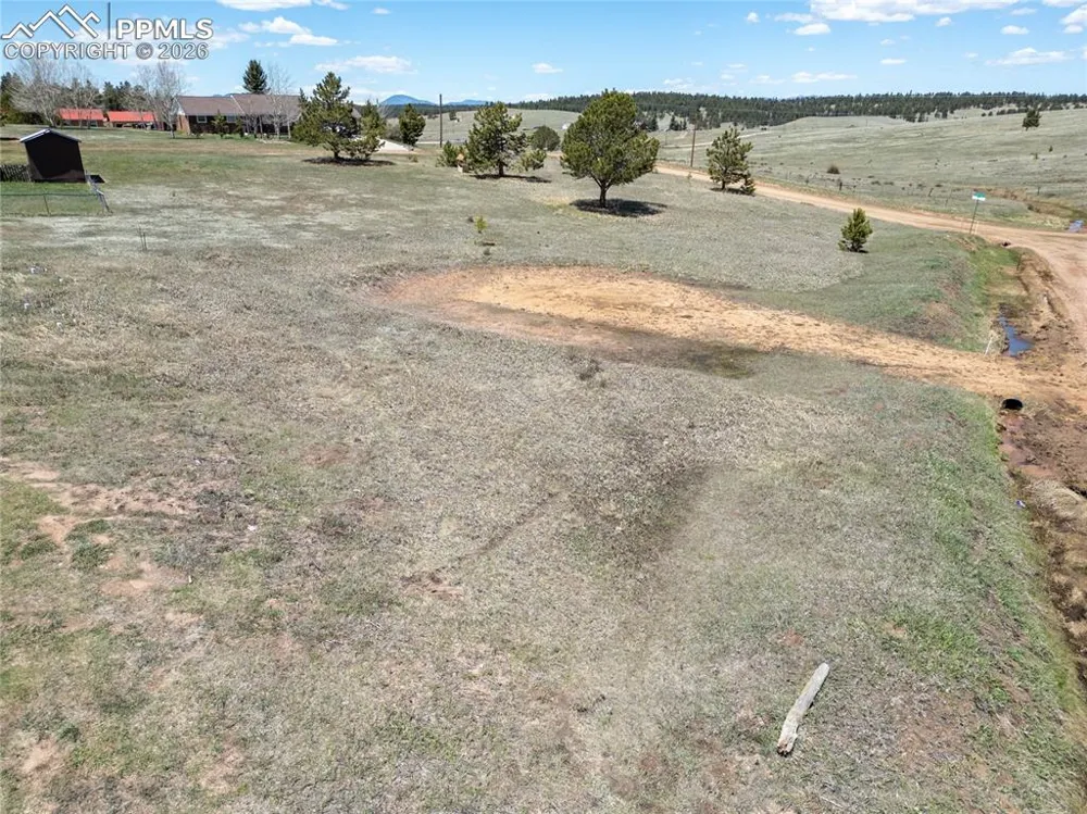 333 Golden Grain Lane Divide, CO 80814