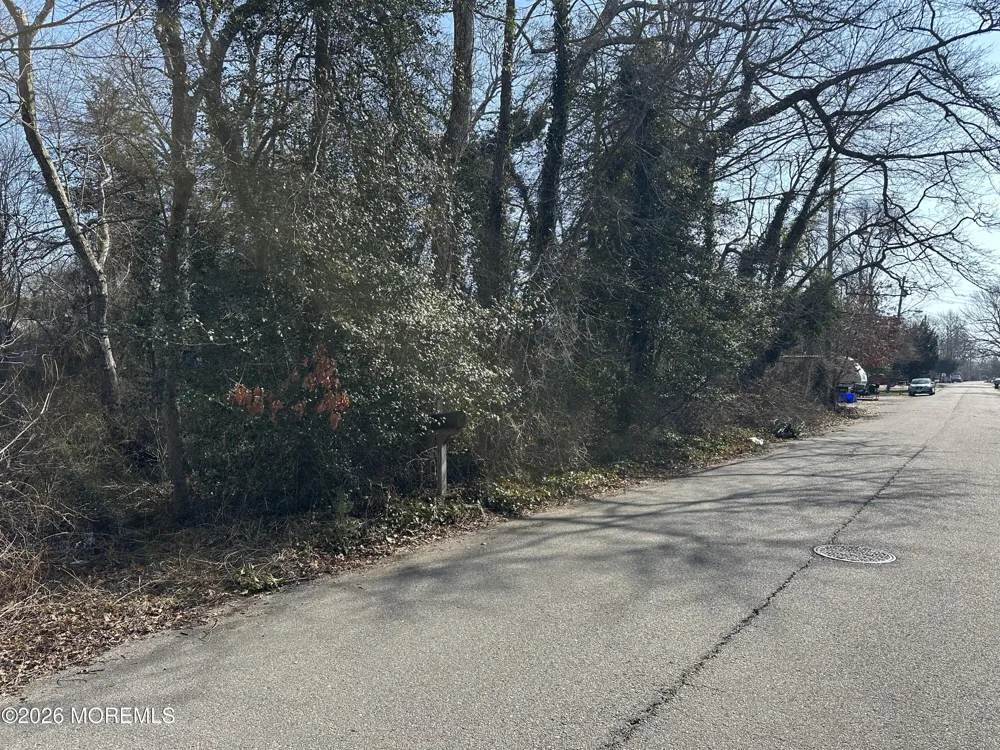 53 Bonita Road Waretown, NJ 08758