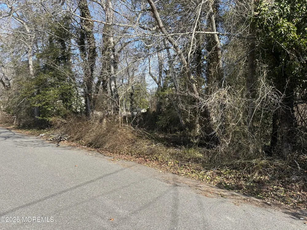 53 Bonita Road Waretown, NJ 08758