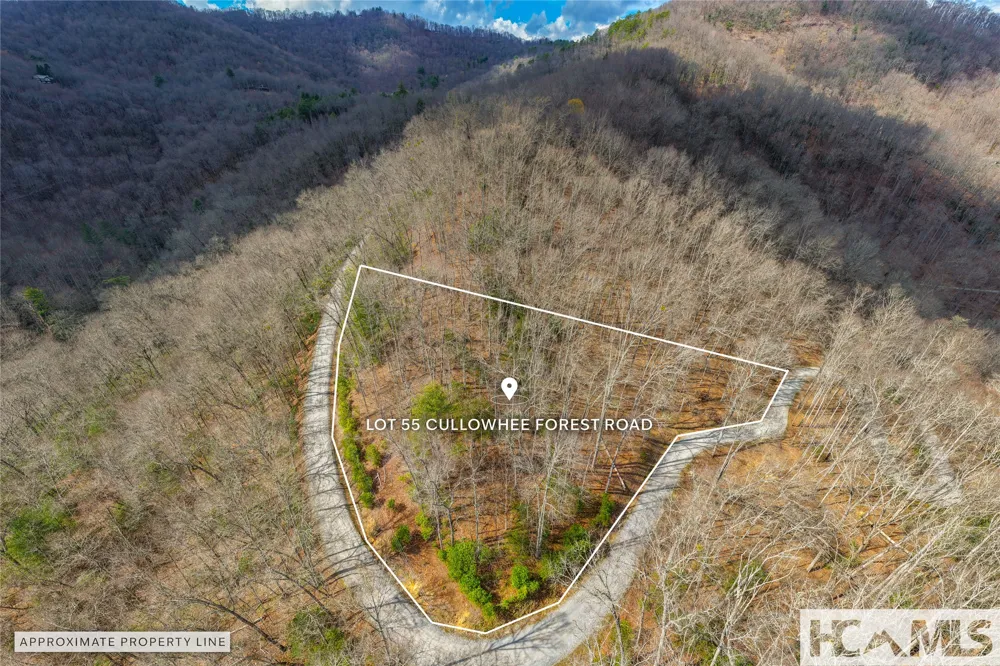 Lot 55 Cullowhee Forest Road Cullowhee, NC 28723
