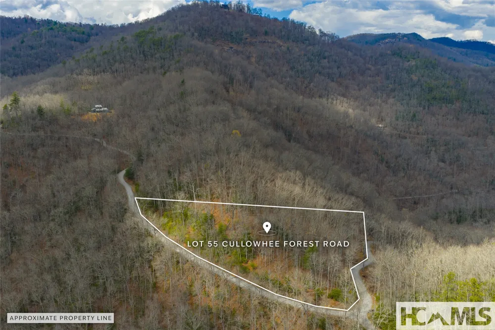 Lot 55 Cullowhee Forest Road Cullowhee, NC 28723