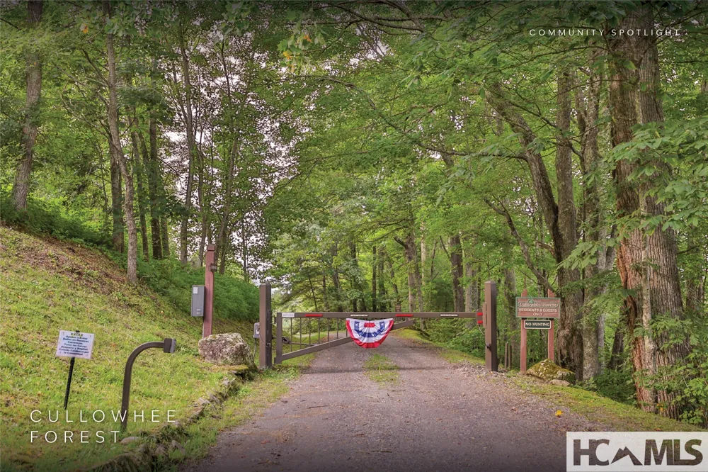 Lot 55 Cullowhee Forest Road Cullowhee, NC 28723