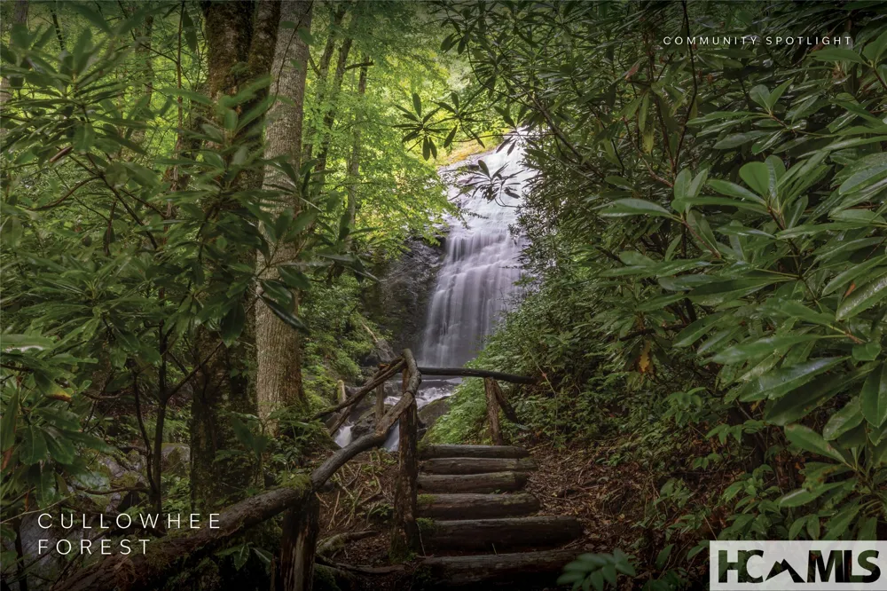 Lot 55 Cullowhee Forest Road Cullowhee, NC 28723