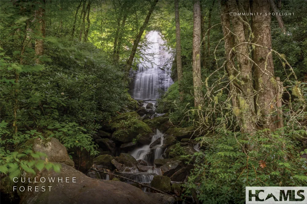Lot 55 Cullowhee Forest Road Cullowhee, NC 28723