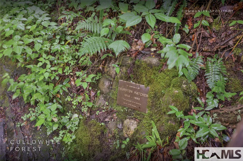 Lot 55 Cullowhee Forest Road Cullowhee, NC 28723