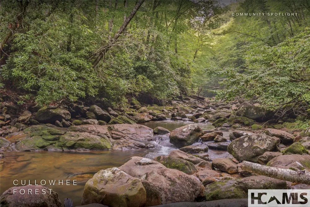 Lot 55 Cullowhee Forest Road Cullowhee, NC 28723