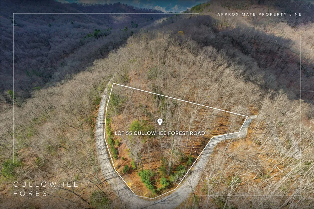 Lot 55 Cullowhee Forest Road Cullowhee, NC 28723