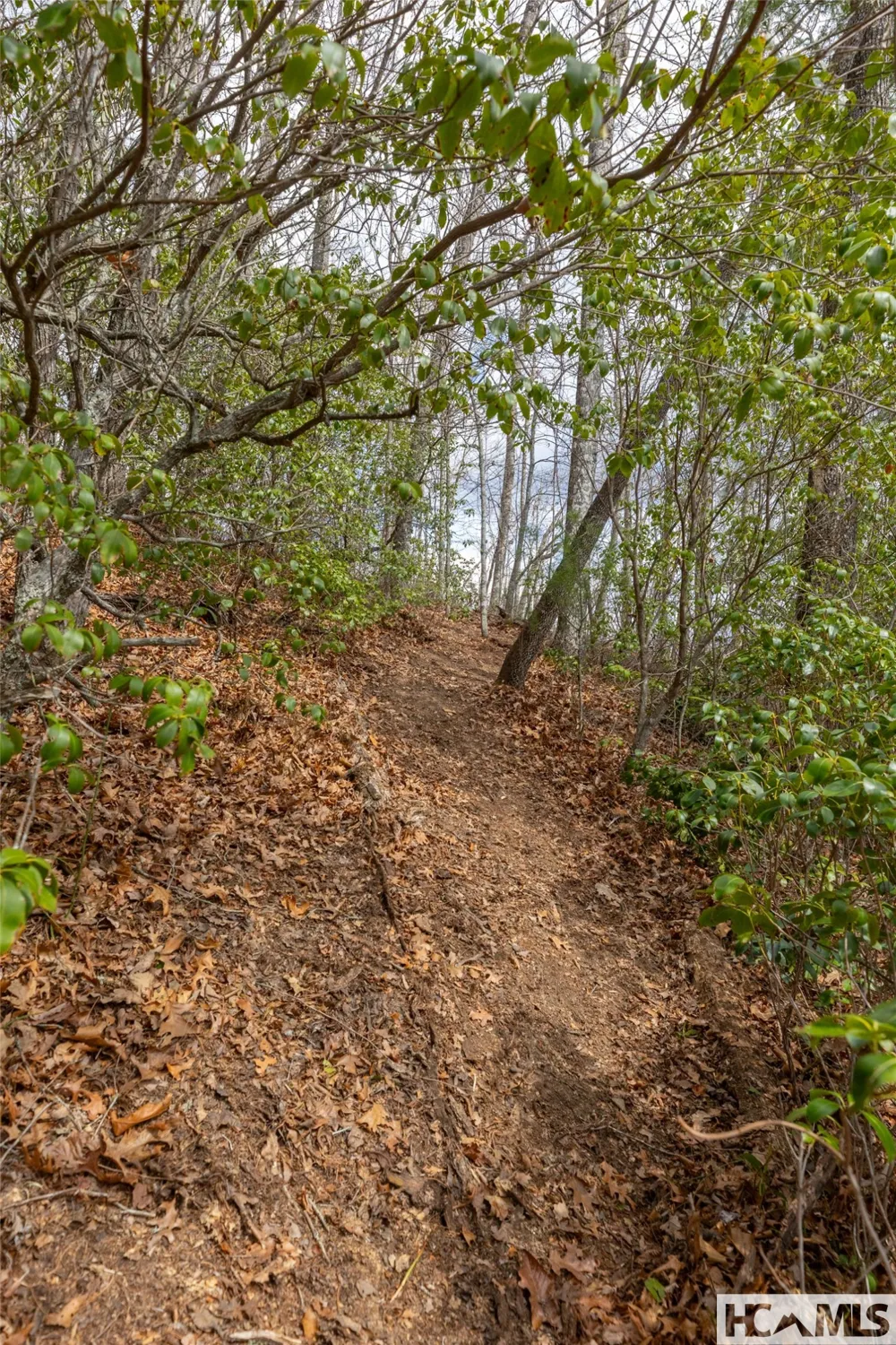 Lot 55 Cullowhee Forest Road Cullowhee, NC 28723