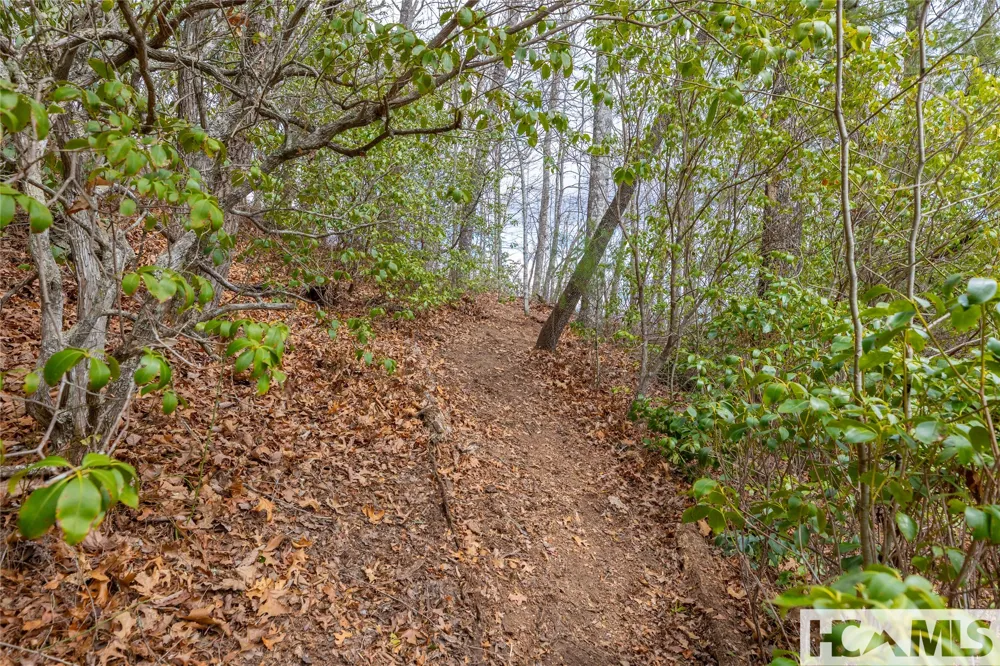 Lot 55 Cullowhee Forest Road Cullowhee, NC 28723