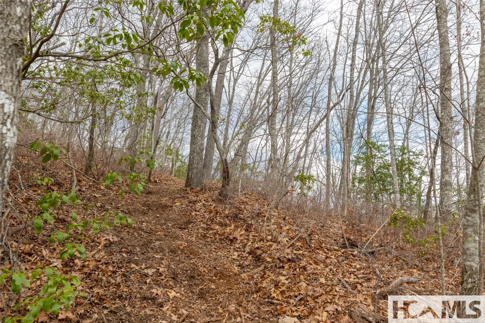Lot 55 Cullowhee Forest Road Cullowhee, NC 28723