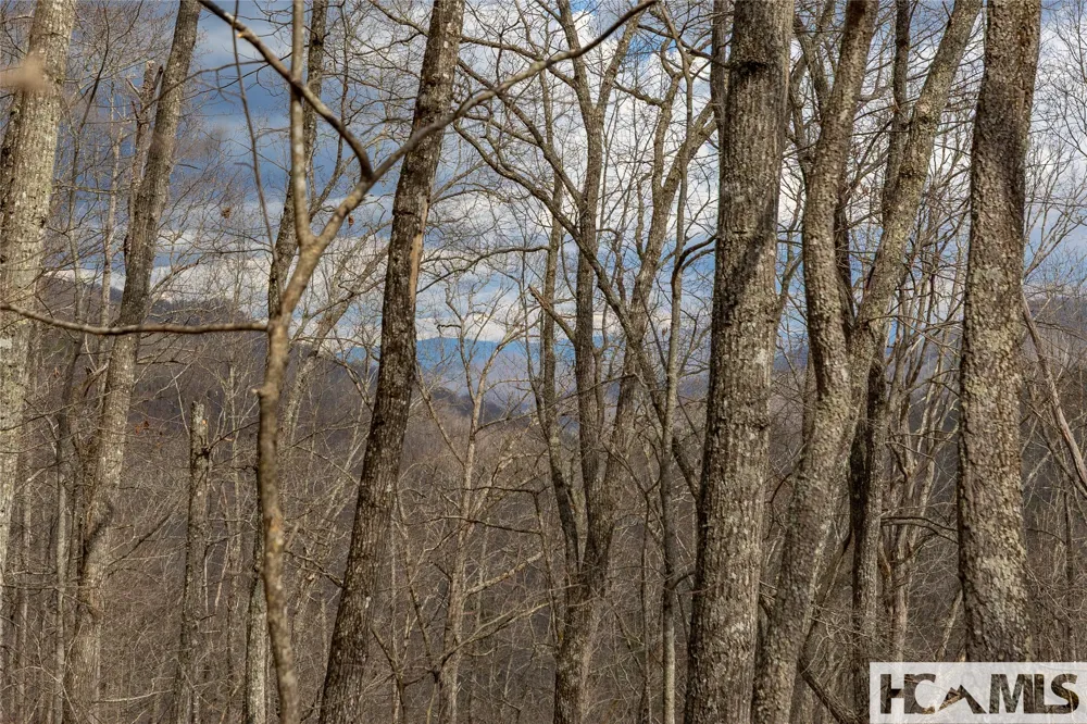 Lot 55 Cullowhee Forest Road Cullowhee, NC 28723