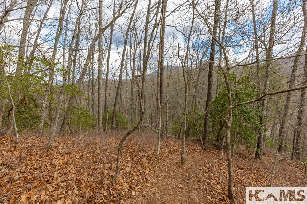 Lot 55 Cullowhee Forest Road Cullowhee, NC 28723