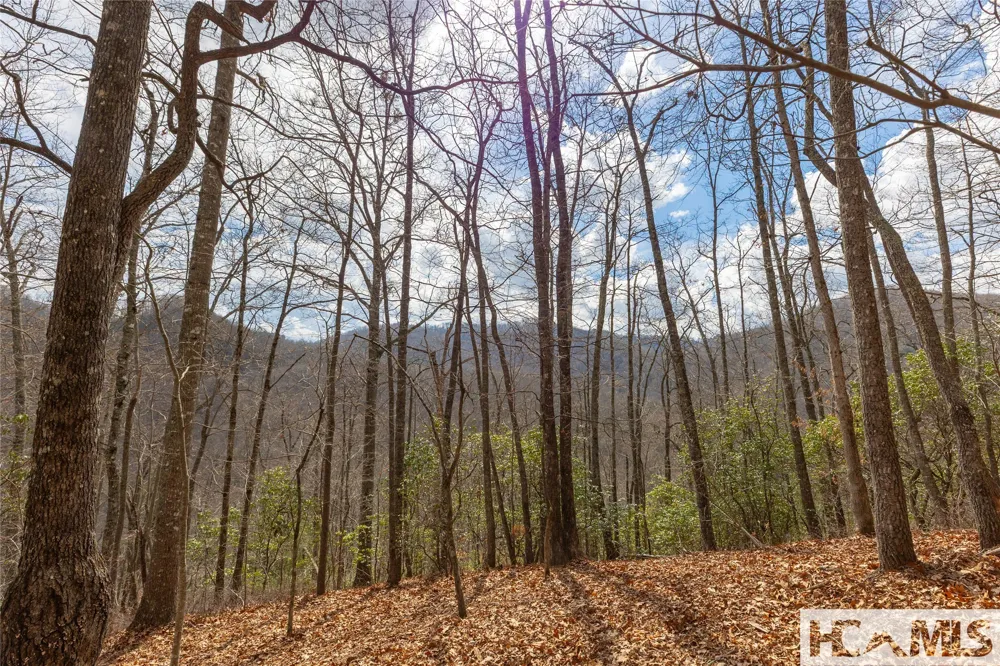 Lot 55 Cullowhee Forest Road Cullowhee, NC 28723