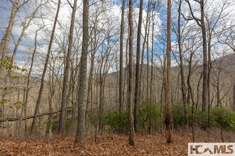 Lot 55 Cullowhee Forest Road Cullowhee, NC 28723