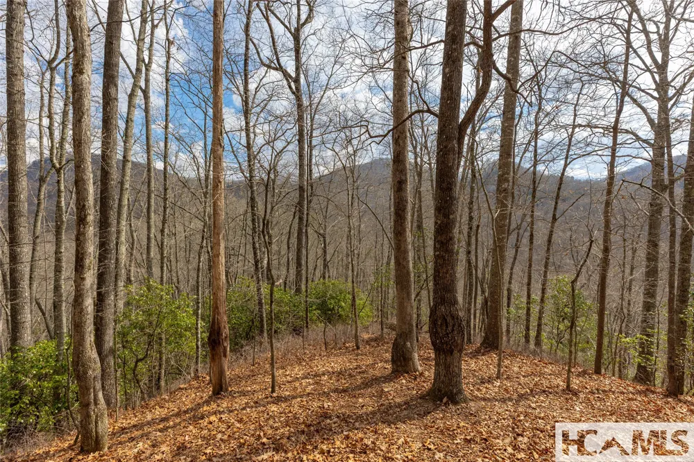 Lot 55 Cullowhee Forest Road Cullowhee, NC 28723