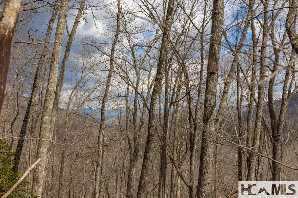 Lot 55 Cullowhee Forest Road Cullowhee, NC 28723