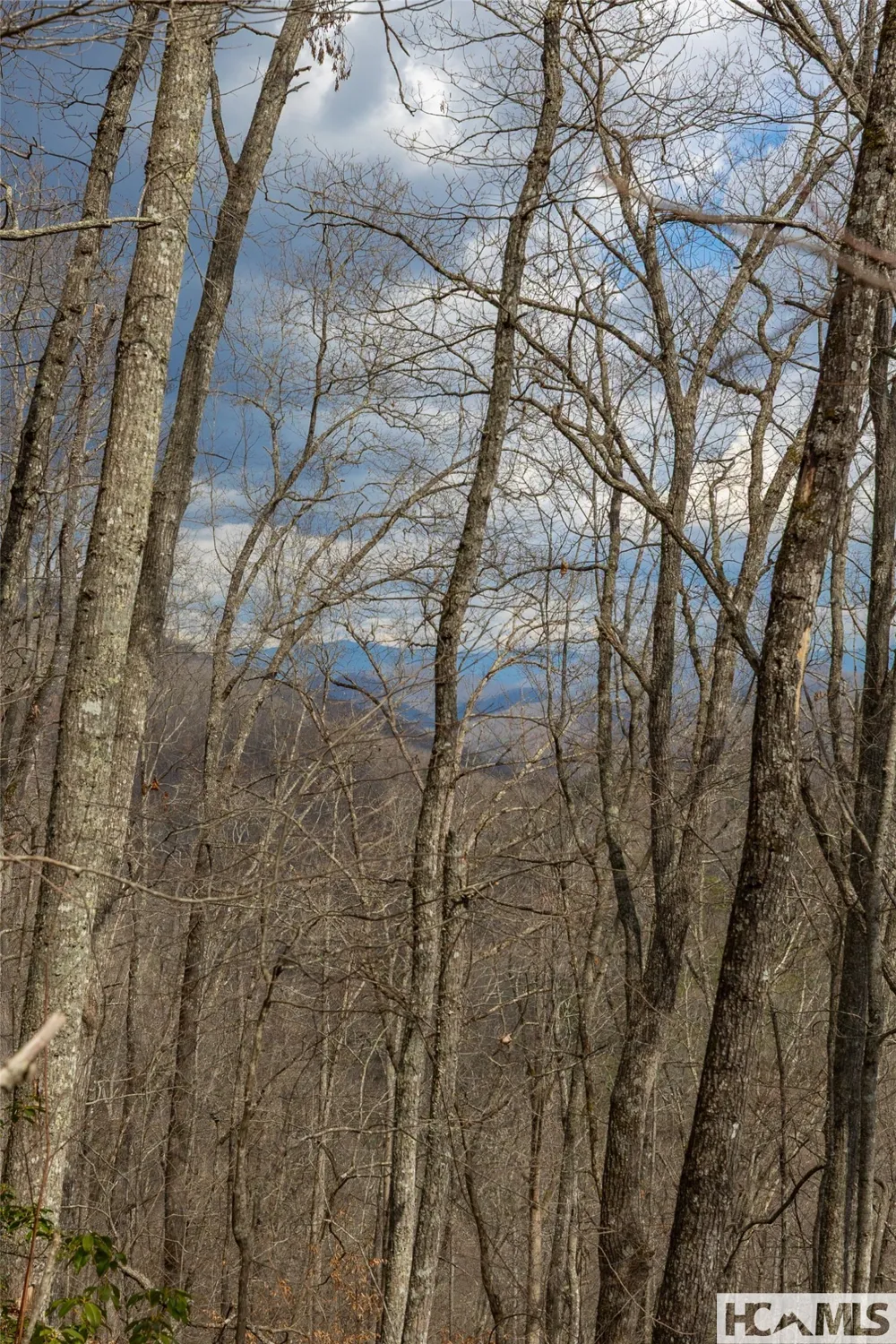 Lot 55 Cullowhee Forest Road Cullowhee, NC 28723